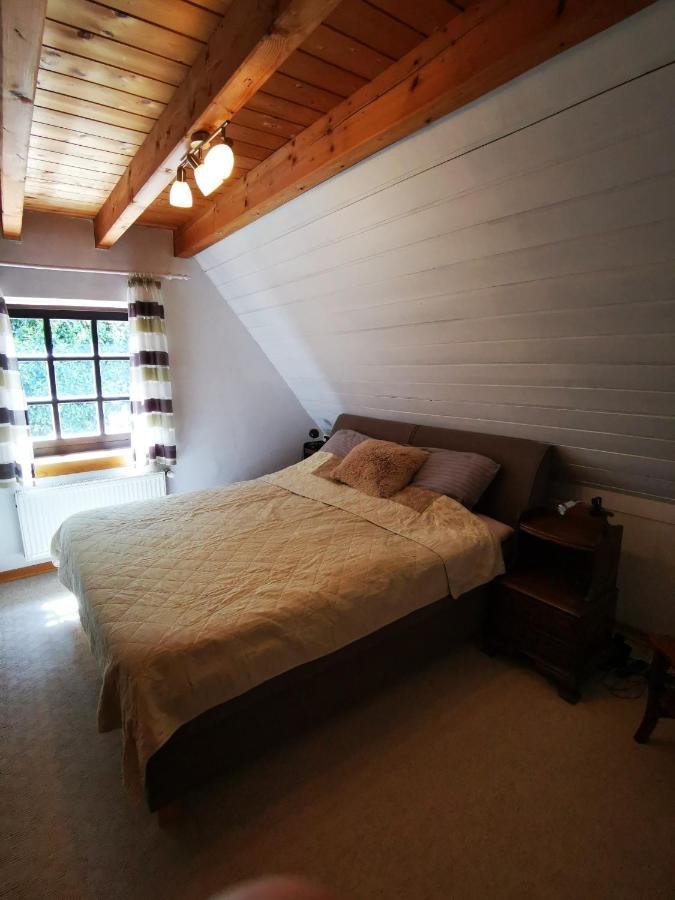 科赫姆Ferienhaus Moselgruen别墅 外观 照片