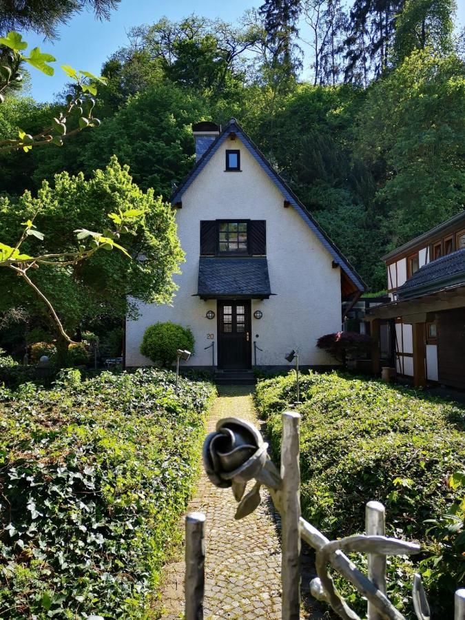 科赫姆Ferienhaus Moselgruen别墅 外观 照片